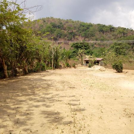 Wli Waterfalls Inn Wli Afegame Buitenkant foto