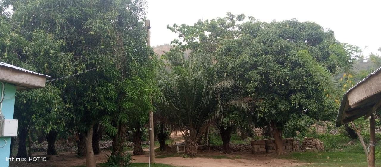 Wli Waterfalls Inn Wli Afegame Buitenkant foto