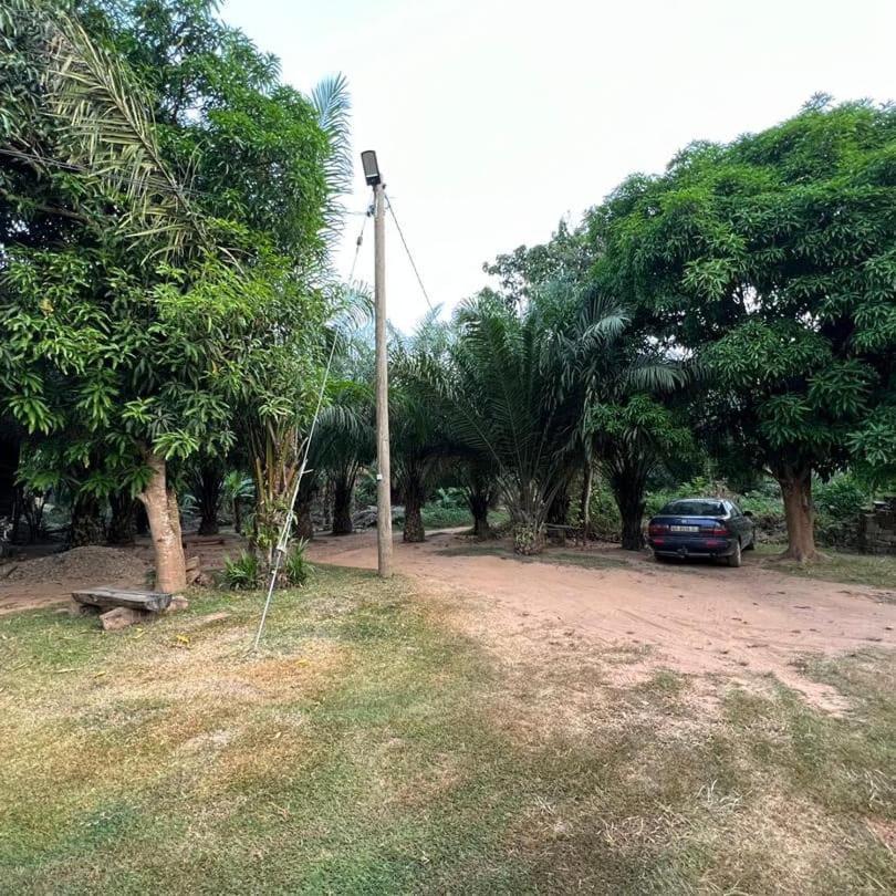 Wli Waterfalls Inn Wli Afegame Buitenkant foto