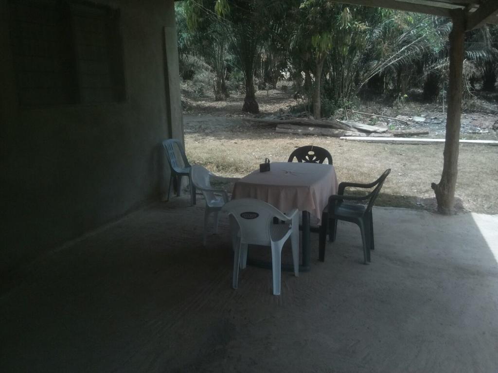 Wli Waterfalls Inn Wli Afegame Buitenkant foto