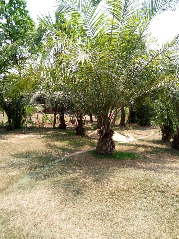 Wli Waterfalls Inn Wli Afegame Buitenkant foto