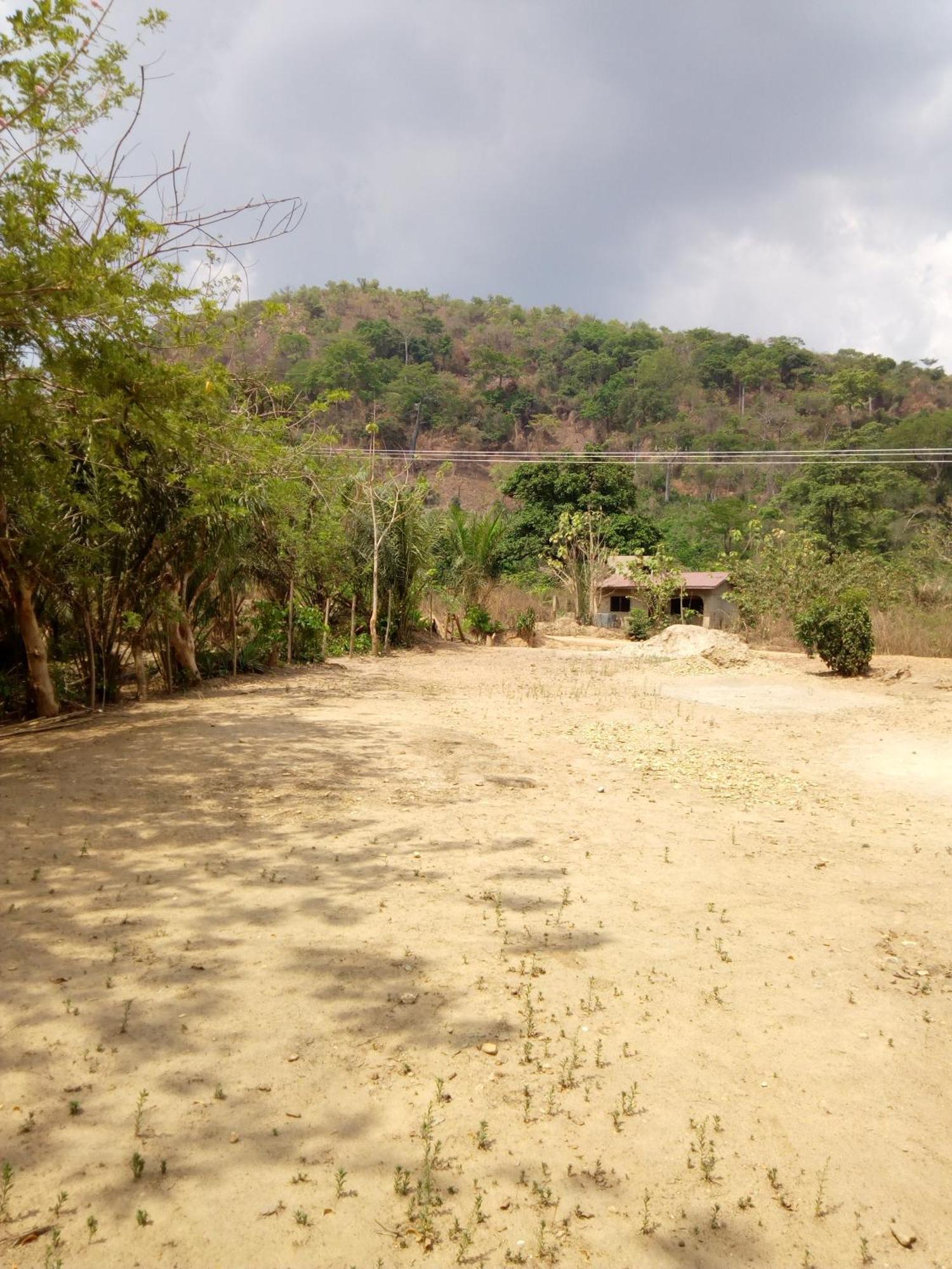 Wli Waterfalls Inn Wli Afegame Buitenkant foto