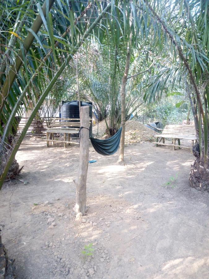 Wli Waterfalls Inn Wli Afegame Buitenkant foto